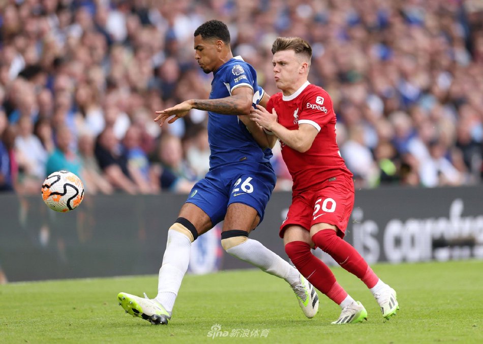 正如金牛主 正如金牛主